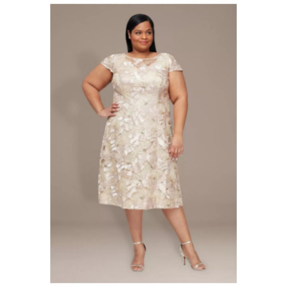 ✨Alex Evenings Knee Length A-Line Soutache Dress With Cap Sleeve 16W NWT